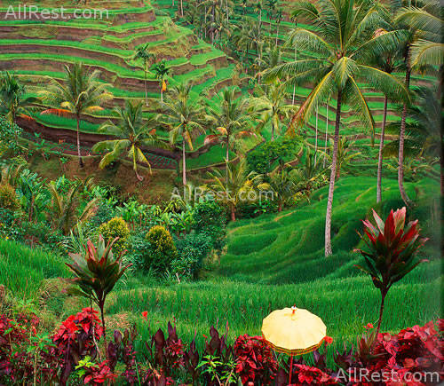 Amandari Ubud resort 46